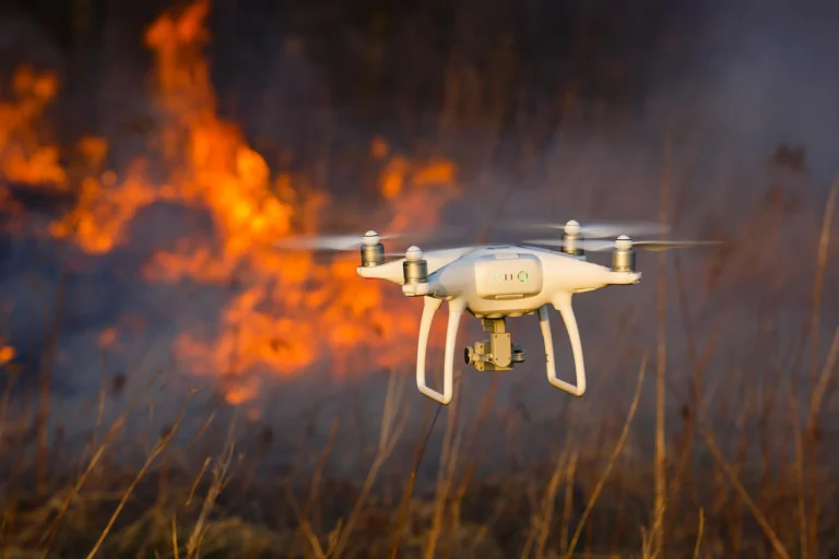 Exploring the Role of Tech in Disaster Management